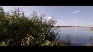 Рыбалка на карпа: осенняя ловля карпа на Марьевке