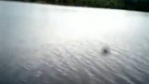 MJX X401H Quadcopter