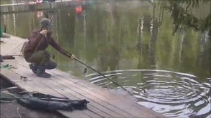 Форель хорошо ловится на стационарные снасти. Клёвое место, Лосиный остров, нижний водоём.