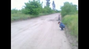 Коротаем время или поход⧸прогулка в лес на тихую охоту. Окраины Павлограда Днепропетровская область