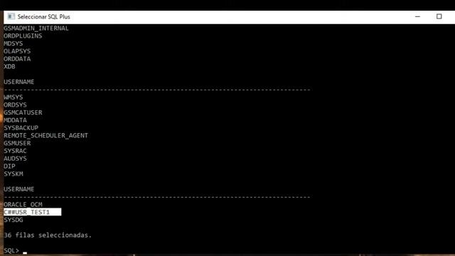 03a Usuarios comunes - Oracle 18c смотреть онлайн