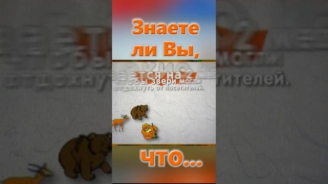 Знаете ли Вы, Что? Зоопарк