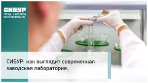 СИБУР: как выглядит современная заводская лаборатория