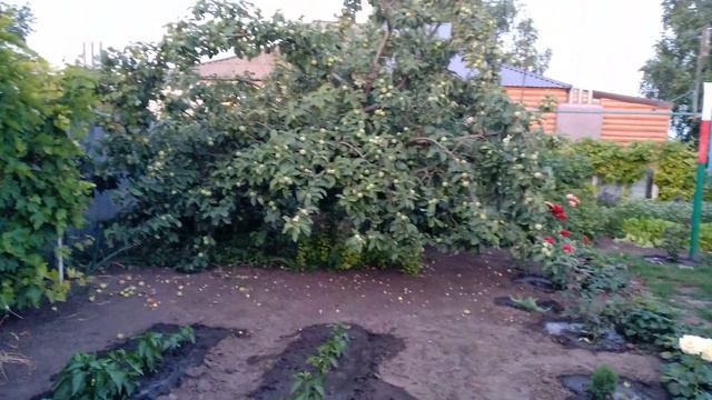 Онлайн-методичка «Летний сад да огород – урожай на целый год» Раздел II смотреть онлайн