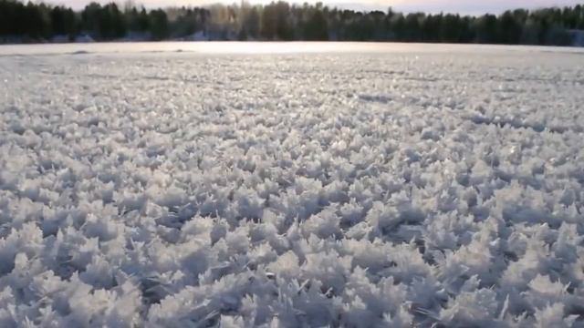 Прогулка по зиме под музыку Франсиса Лея Francis Lai смотреть онлайн