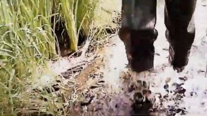 My SV. Deep flooding across short field swamp & ditch in my DUNA-162 C PVC hip waders.