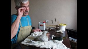 Изготовление чучела утки кряквы (Anas platyrhynchos), Бахмат Виктор.