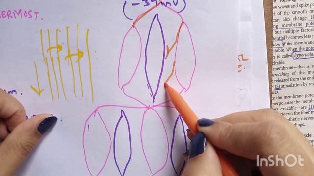 General principles of GIT functions.Guyton chp 63.Part 1 смотреть онлайн