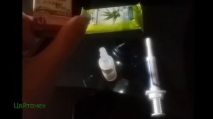 У собаки болят уши. Что делать