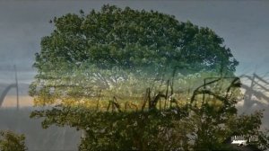 ПРЯДИ МОИ РУСЫЕ