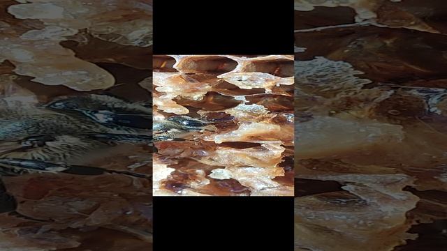 Пчёлы ? собирают мёд. Увеличенные кадры