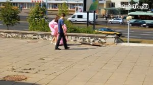 Шоу «Идиоты»   Озабоченный кролик