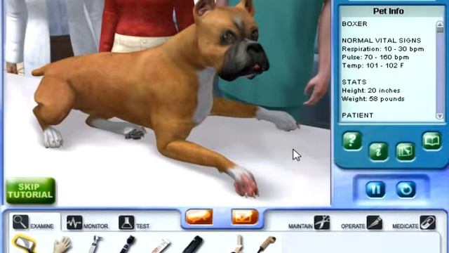 Pet Pals: Animal Doctor – Help Dog with Paw смотреть онлайн