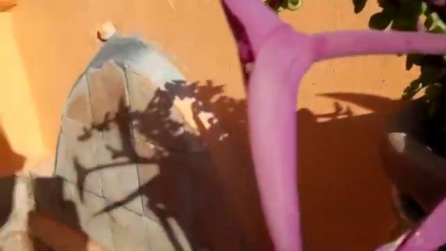 Asómate Aquí Riad CharCam en Marrakech смотреть онлайн