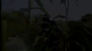 #Гойс Очень красивый нашид(Ма А'далак) Мухаммад Аль-Мукит