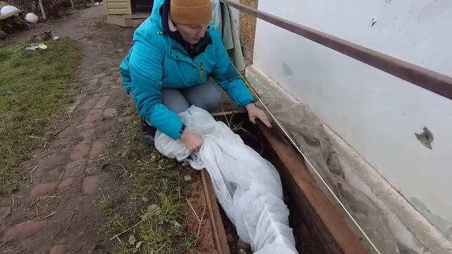 ? После этого УКРЫТИЯ ВИНОГРАД НЕ ЗАМЕРЗНЕТ | Чем и как укрыть виноград на зиму?