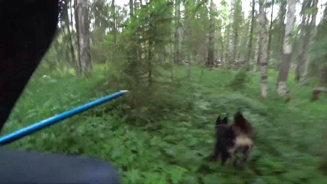 Рыбалка на хариуса, Усть-Кулом смотреть онлайн