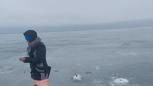 7 марта, корюшка клюёт, Обручев! смотреть онлайн