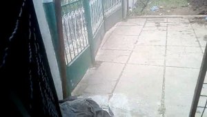 Вольер для собаки своими руками.