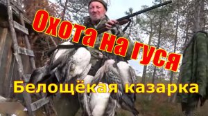 Охота на северного гуся #6  Архангельская область 1ч