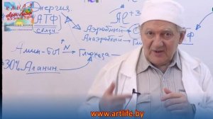 Деффекты здоровья начинаются с питания Экспертное мнение @Артлайф Artlife Беларусь