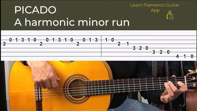 PICADO FLAMENCO GUITAR LESSON смотреть онлайн