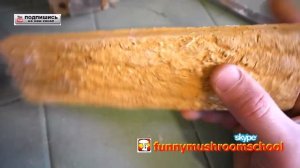 Гипсовая плитка, секрет покраски железным купоросом