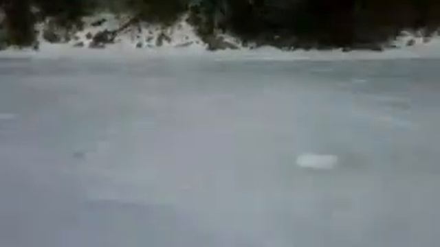 arctic cat смотреть онлайн