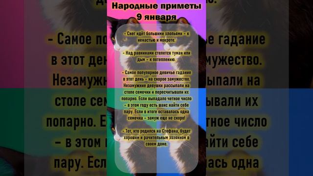✅Народные приметы на 9 января. Степанов день