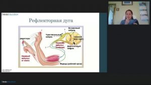 Мудры в йогатерапии