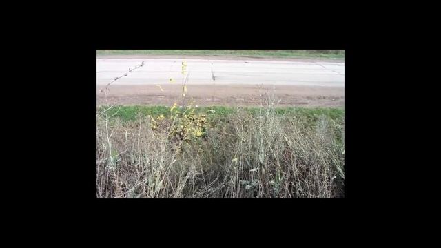 Как сделать крутой бумеранг? смотреть онлайн