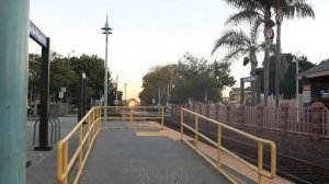 FAST Coaster & Amtrak Trains In Carlsbad California ft. California Train Guy & San ClementeRP