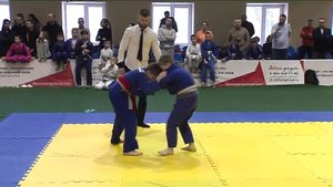 В Югре создали Федерацию джиу-джитсу