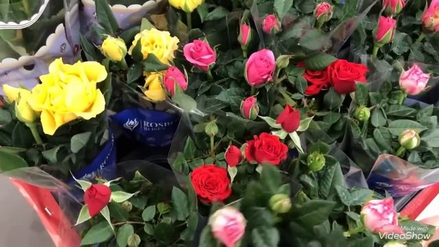 АШАН утопает в Цветах! Цветы к 8 Марта! смотреть онлайн