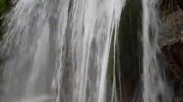 Лес,Туман,Водопад смотреть онлайн