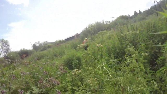 В поисках Солонешенского водопада