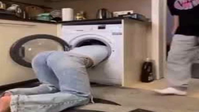 Кот Шнапи флексит в разных местах смотреть онлайн