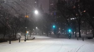 Как Нью-Йорк снегом занесло. Часть первая..