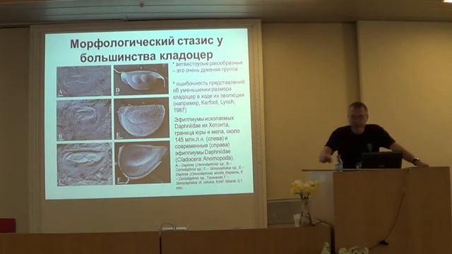 Котов А. А. - О морфологической радиации и экологической адаптации ракообразных смотреть онлайн