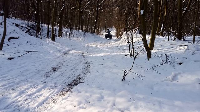 Bashan 250 s5 смотреть онлайн