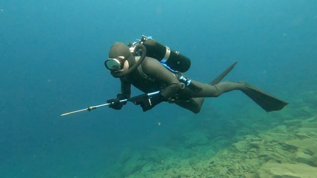 Spectre Frogman