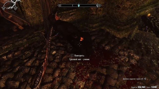 ДАЭДРА ПИРАТ, ОКО МАГНУСА, ОХРЕНЕВШИЕ ЖУКИ И ВСЁ ЭТО ГИЛЬДИЯ МАГОВ - SKYRIM SLMP - GR #9 смотреть онлайн