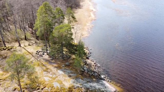 Вуокса 2020. Рыбалка. Самоизолируемся с пользой для здоровья.