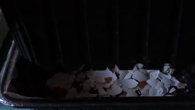 ?Рассада растет крепкой если посадить томаты в марте по лунному календарю в эти дни. смотреть онлайн