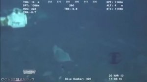 МАРИАНСКАЯ ВПАДИНА ОБИТАЕМА | СТРАННЫЕ СУЩЕСТВА ПОД ВОДОЙ | ОКЕАН КИШИТ НЛО