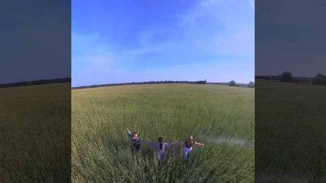 Поле