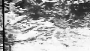 Партизаны Великой Отечественной.