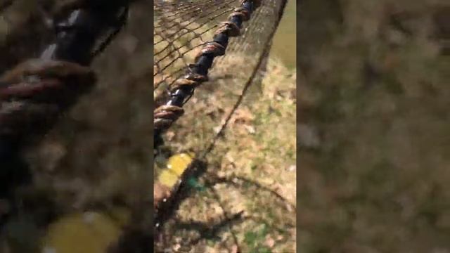 Линь в апреле в своём пруду смотреть онлайн