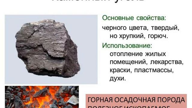 Каменный уголь. Его происхождение. Как добывают уголь
