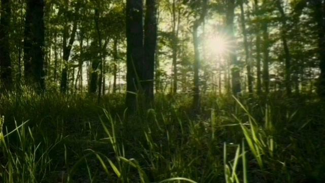 ОБЕЩАЛ СТРАСТНЫЙ ПОЦЕЛУЙ, И ПЕРЕДУМАЛ. ОЛЮНЯ И КОТЮНЯ.